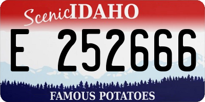 ID license plate E252666