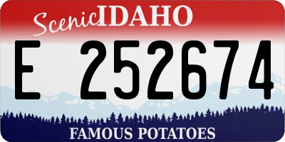ID license plate E252674