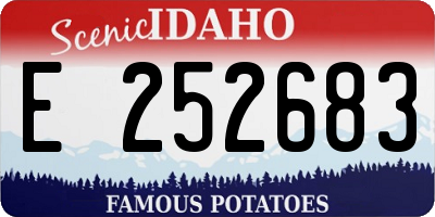 ID license plate E252683