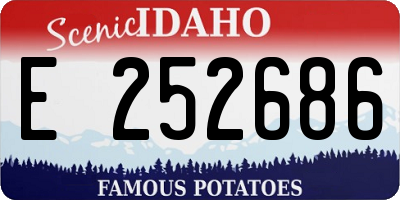 ID license plate E252686