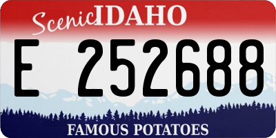 ID license plate E252688