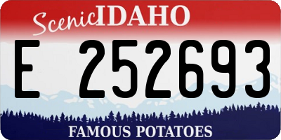 ID license plate E252693