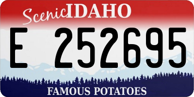 ID license plate E252695