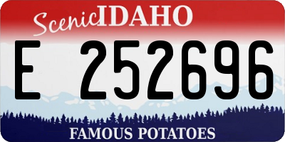 ID license plate E252696