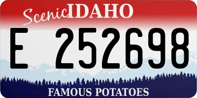 ID license plate E252698
