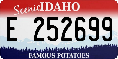ID license plate E252699