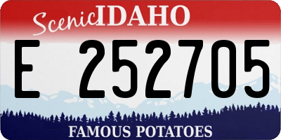 ID license plate E252705