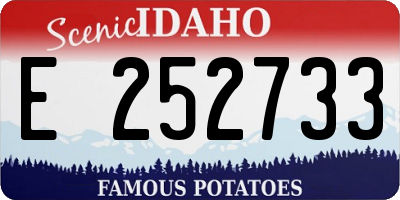 ID license plate E252733