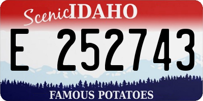ID license plate E252743