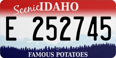 ID license plate E252745