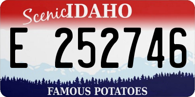 ID license plate E252746