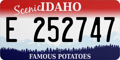 ID license plate E252747