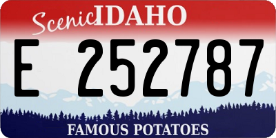 ID license plate E252787