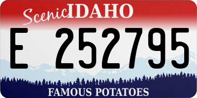 ID license plate E252795