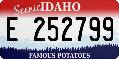 ID license plate E252799
