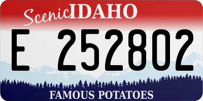 ID license plate E252802