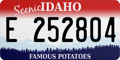 ID license plate E252804