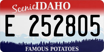 ID license plate E252805