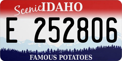 ID license plate E252806