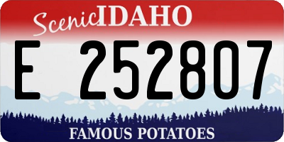 ID license plate E252807