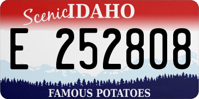 ID license plate E252808
