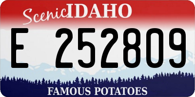 ID license plate E252809