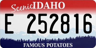 ID license plate E252816