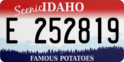 ID license plate E252819