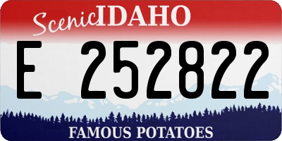 ID license plate E252822