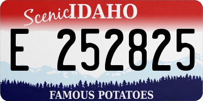 ID license plate E252825