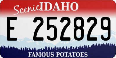 ID license plate E252829