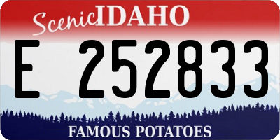 ID license plate E252833