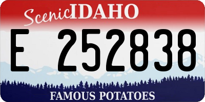 ID license plate E252838