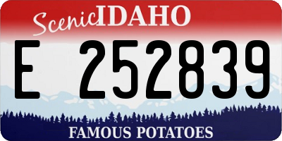 ID license plate E252839
