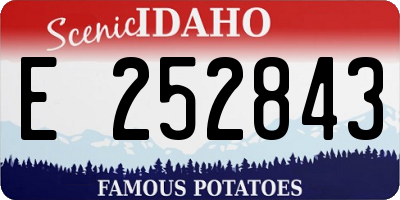 ID license plate E252843