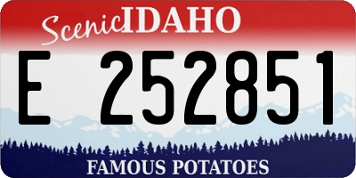 ID license plate E252851