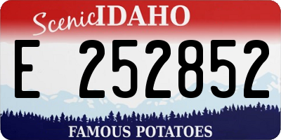 ID license plate E252852