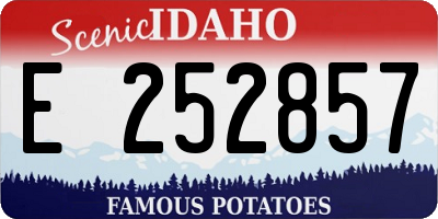 ID license plate E252857