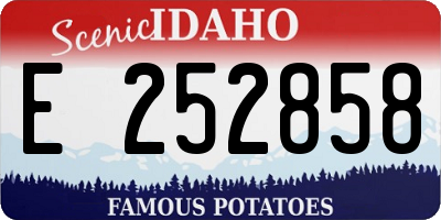 ID license plate E252858