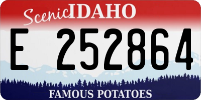 ID license plate E252864