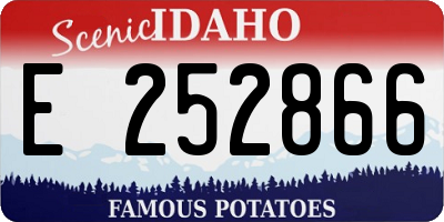 ID license plate E252866