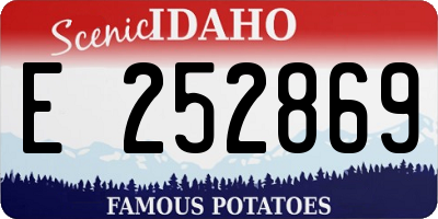 ID license plate E252869
