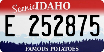 ID license plate E252875