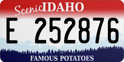 ID license plate E252876