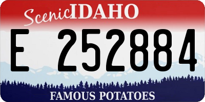 ID license plate E252884