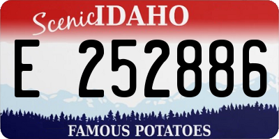 ID license plate E252886