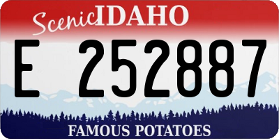 ID license plate E252887