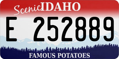 ID license plate E252889