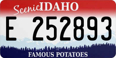 ID license plate E252893
