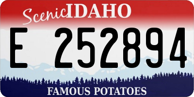 ID license plate E252894